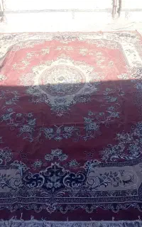 کاشان زولی