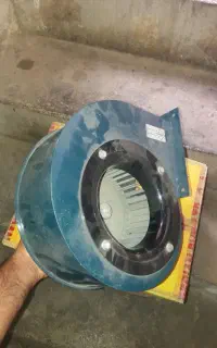 مکنده حلزولی جنس نایاب