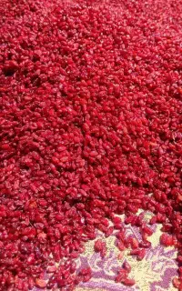 زرشک پفکی