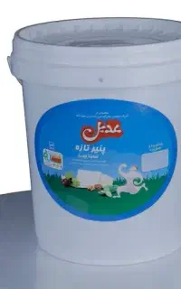 سطل پنیری