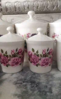 پاسماوری ۳۰۰