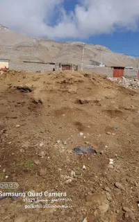 کود حیوانی گاوی