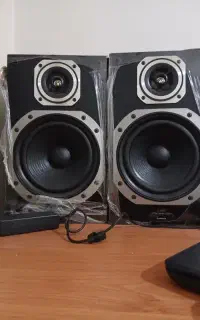 پایونر