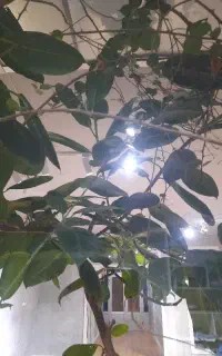 آموزشگاه اجاره چند ساله