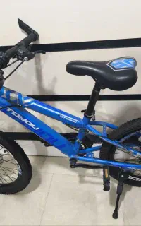 دوچرخه