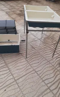 سورتر ماهی قزل آلا