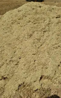 فروش کاه گندم دیم