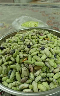 پاچ باقالی پاک شده کیلویی۵۵۰ تومن