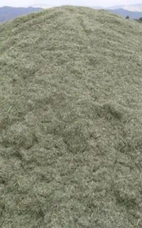 فروش 15 تن یونجه خرمانکوب شده