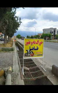 نان خشک