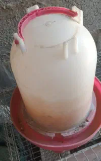 قفس پرنده و آبخوری و دانه خوری