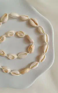 بدلیجات زنانه