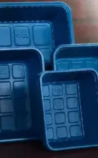 پخش ظروف قارچ ۲۰۰
