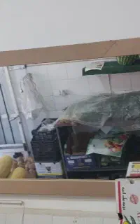 اینه
