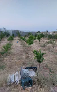 فروش باغ در زبیده خاتون بالاتر از پرورش ماهی