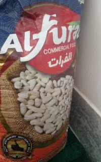 لوبیاسفید