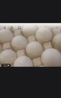 تخم اوردک خارجی