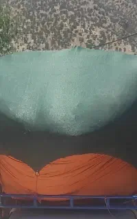 کاه