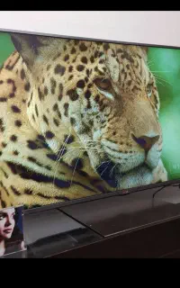 ال ای دی lg 50 inch اصل کره