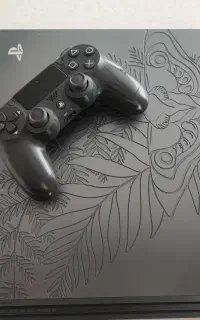 Ps4 Pro Custom