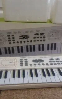ارگ