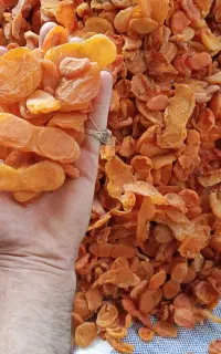 برگه زرد آلو
