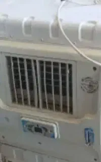 کولر ابی مارک پردیس خزر