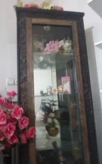 ویترین درحدنو