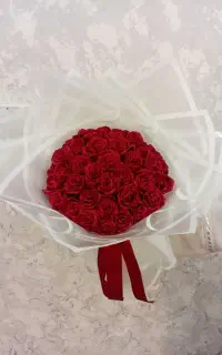 گل رز ربانی