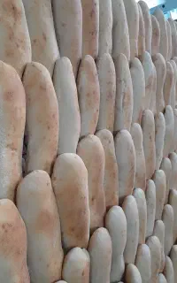 اوستا کار. نان ساندویچی  وکارگر ساده