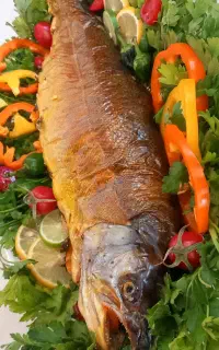 تهیه غذا خانگی