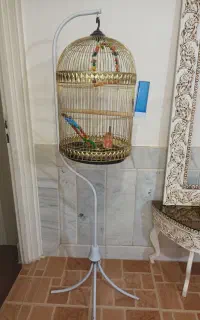 قفس
