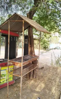 منقل کبابی بزرگ کالاخانه بزرگ سورنا تانکسازی