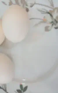تخم مرغ نطفه دار لاری 5دانگ