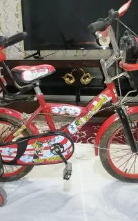 دوچرخه 20