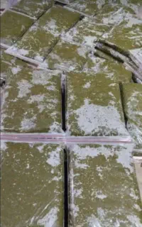سبزی خورشتی رامهرمز
