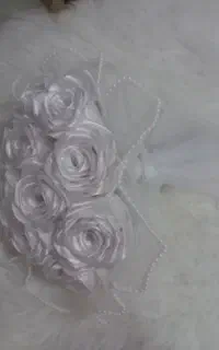 گل ربانی زیبا