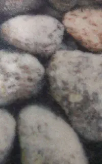 فروش موکت