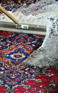 قالیشویی رفوگری ومبل شویی تحفه نطنز