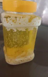 روغن زرد