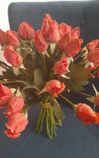 گل رز  قرمز. کاملا طبیعی.   ۵۵ شاخه خارجی