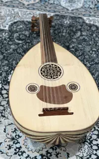 عود حرفه ای