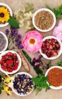 جذب نیروی خانم