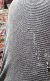دنبال کار  هستم اهر