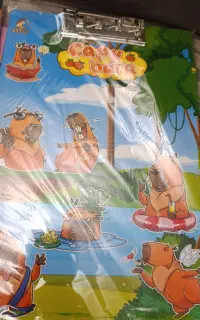 تخته شاسی (زیردستی )