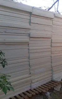 یونولیت