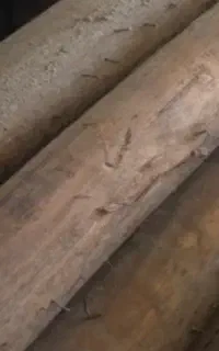 چوب ساختمانی