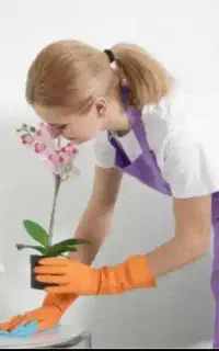 نظافت منزل ویلا