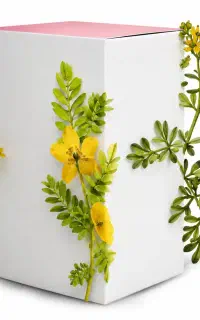 سبوس برنج  + پرداخت درب منزل