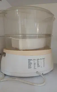 سرخ کن و بخار پز